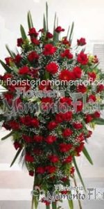 Cascada Especial Rosas