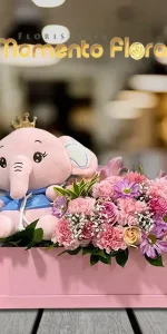 Caja | Peluche con Flores | Variadas 156